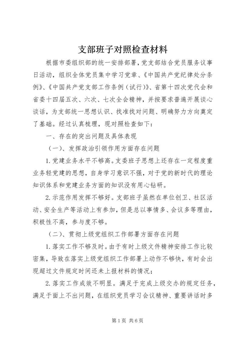 支部班子对照检查材料.docx