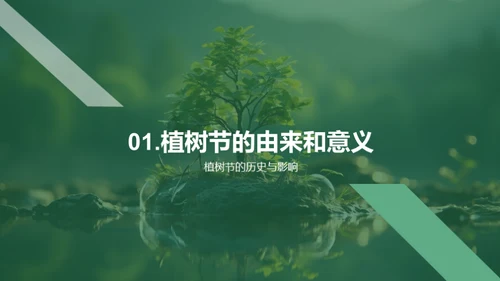 植树环保的探究