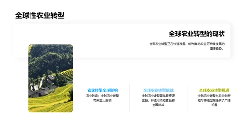 农业革新与转型路径