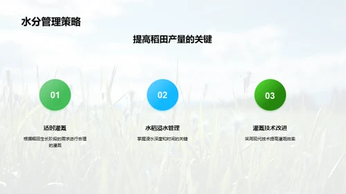 稻田科学种植