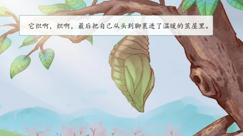 22《小毛虫》课件