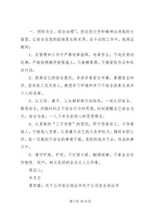 公司安全保证书5篇范文.docx