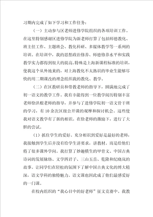 教师见习期个人工作总结