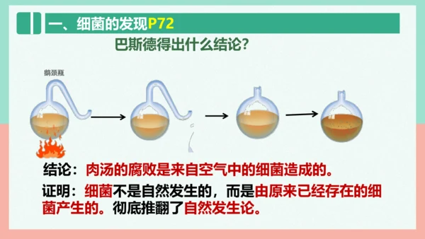 5.4.2  细菌  课件-人教版生物八年级上册(共39张PPT)