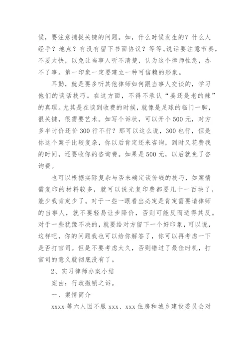 律师办案小结.docx