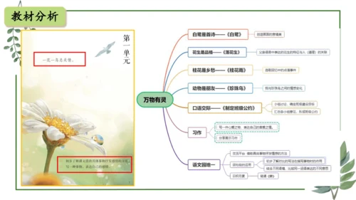 部编版语文五上第一单元 大单元教学设计--与自然对话，记录镜头下的心爱之物 说课课件