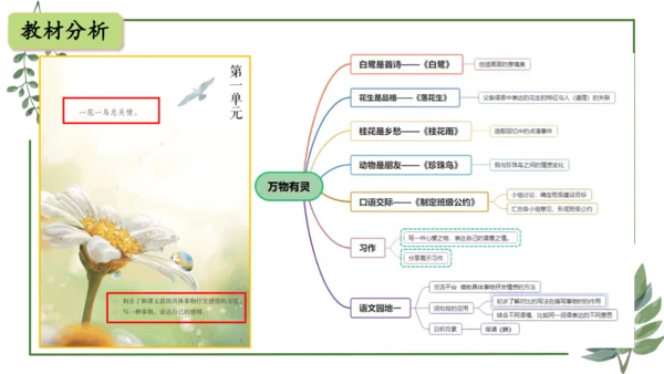 部编版语文五上第一单元 大单元教学设计--与自然对话，记录镜头下的心爱之物 说课课件
