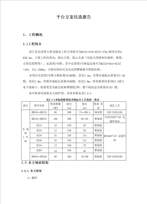 工程项目平台方案比选报告