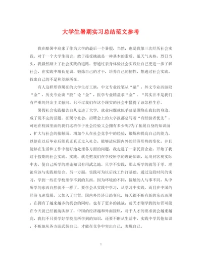 精编之大学生暑期实习总结范文参考.docx