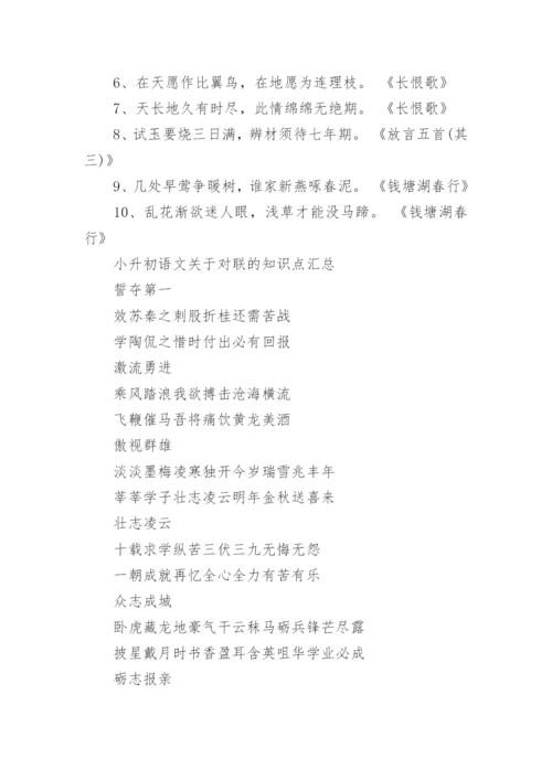 人教版小升初语文知识点归纳.docx