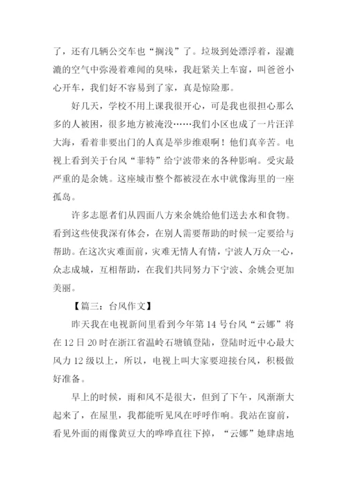 关于台风的作文300字.docx