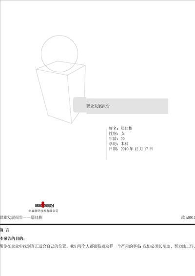 职业发展报告