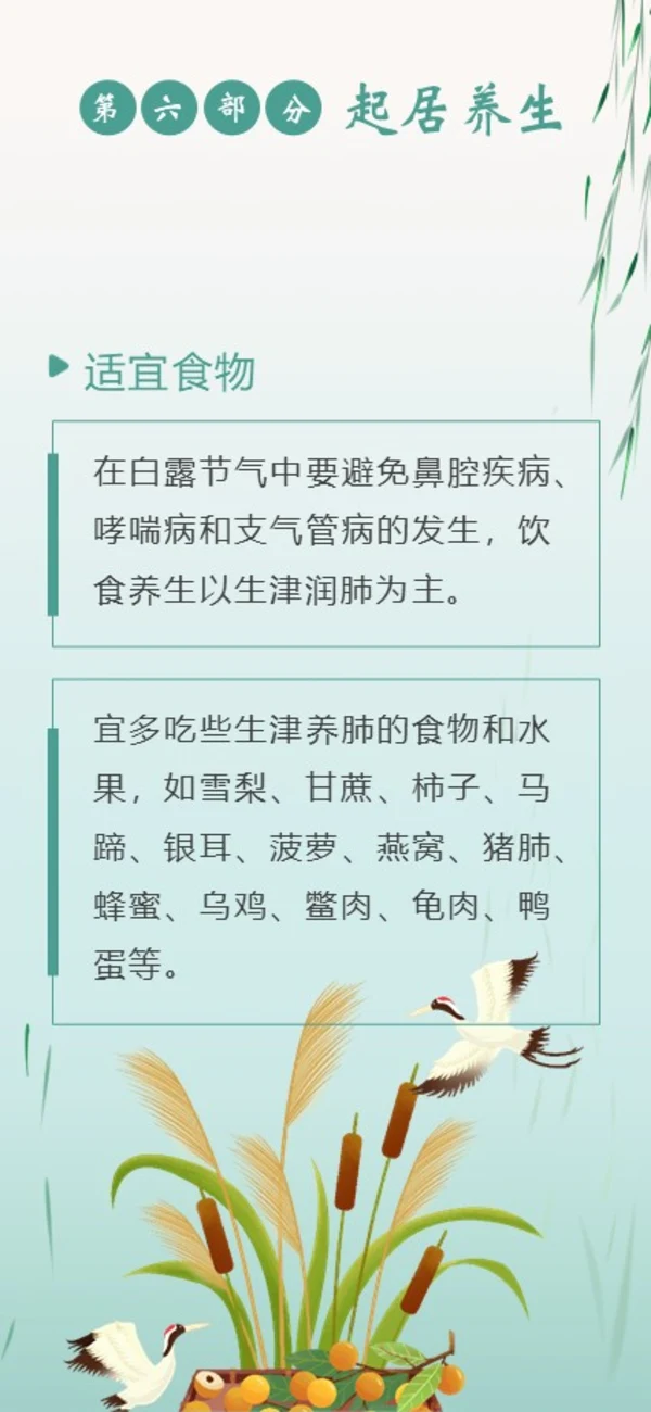 白露节气二十四节气知识手机竖版PPT课件