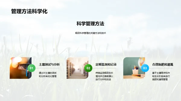 稻田科学种植