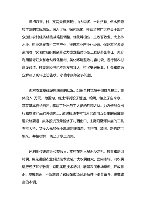 村支书2021半年工作总结.docx