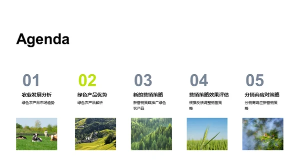 绿色农产品营销策略