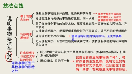 部编版八上语文第五单元写作《说明事物要抓住特征》课件