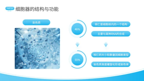 蓝色简约风细胞结构探秘PPT