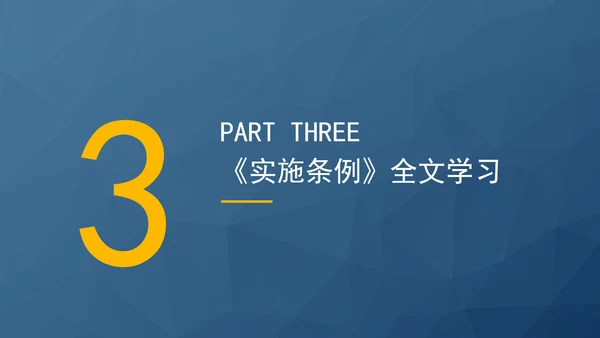 2024最新中华人民共和国消费者权益保护法实施条例解读PPT