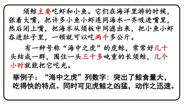 统编版语文五年级上册第五单元 习作例文《鲸》《风向袋的制作》 课件