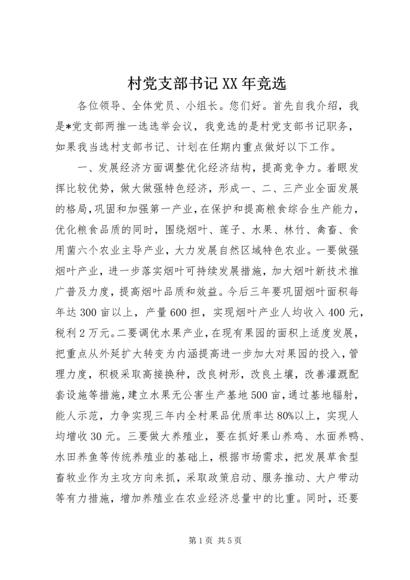 村党支部书记XX年竞选.docx