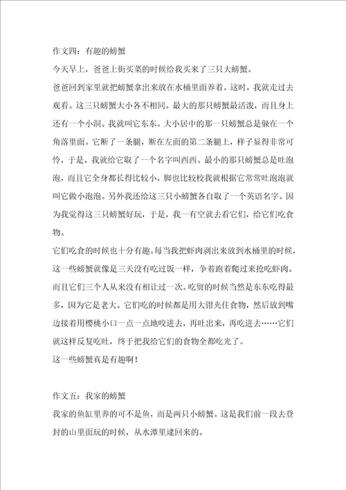 写螃蟹的作文