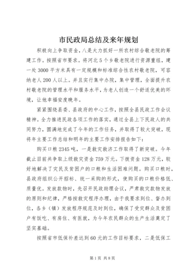 市民政局总结及来年规划.docx