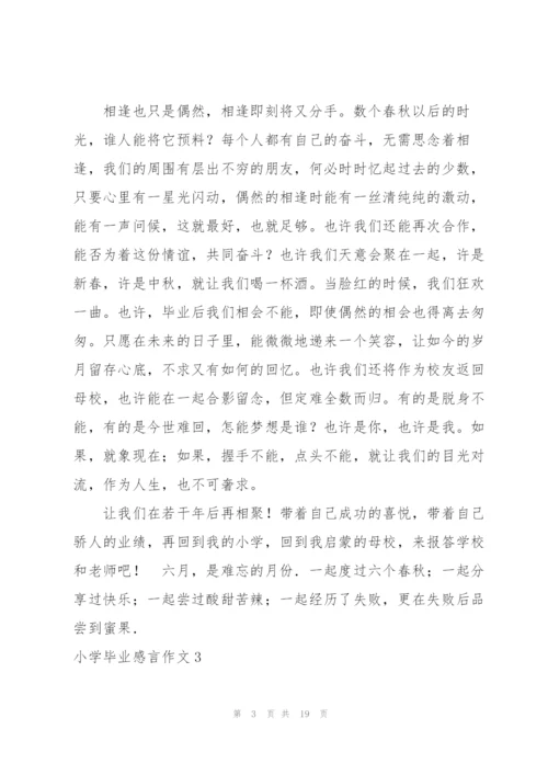 小学毕业感言作文13篇.docx