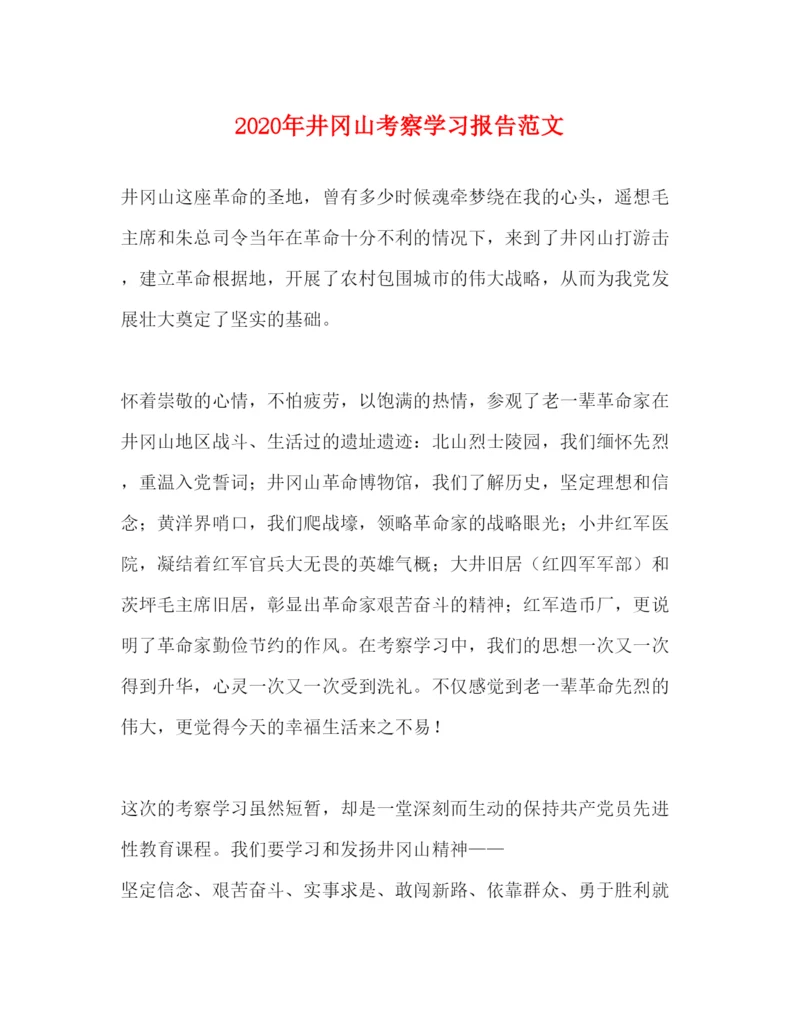 精编年井冈山考察学习报告范文.docx