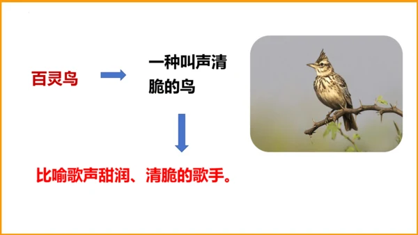 统编版四年级语文下册同步精品课堂系列语文园地四（教学课件）