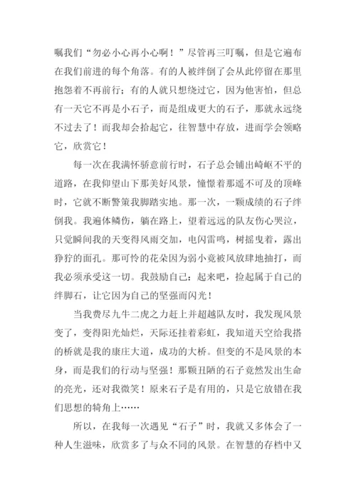 一颗石子的畅想作文.docx