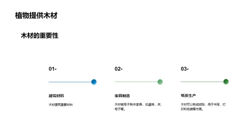 揭秘植物生长奥秘