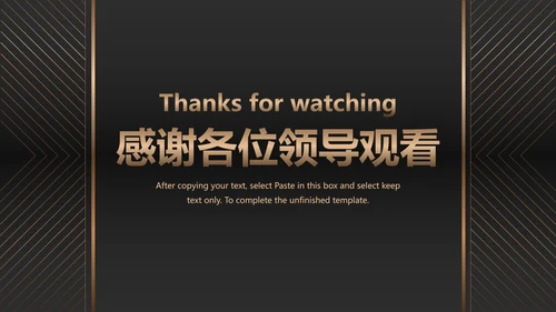 黑金商务项目总结PPT模板