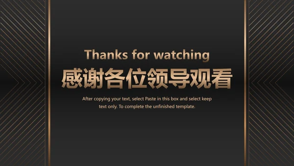 黑金商务项目总结PPT模板