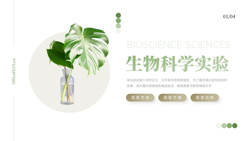 绿色植系简约高端生物科学实验PPT模板