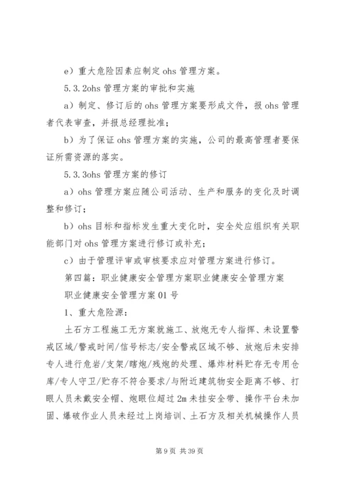 职业健康安全实施方案.docx