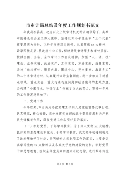 市审计局总结及年度工作规划书范文.docx