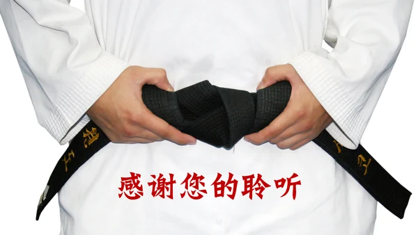 武术跆拳道比赛空手道PPT模板