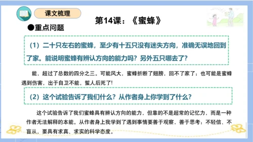 统编版三年级语文下册同步高效课堂系列第四单元（复习课件）