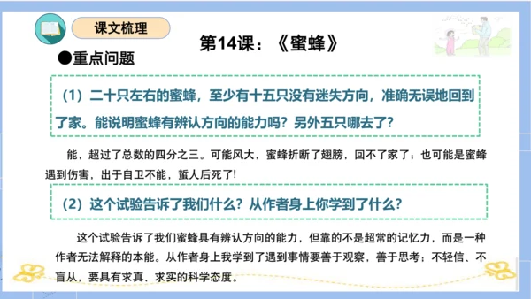 统编版三年级语文下册同步高效课堂系列第四单元（复习课件）