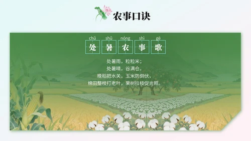 绿色中国风处暑节气知识讲座