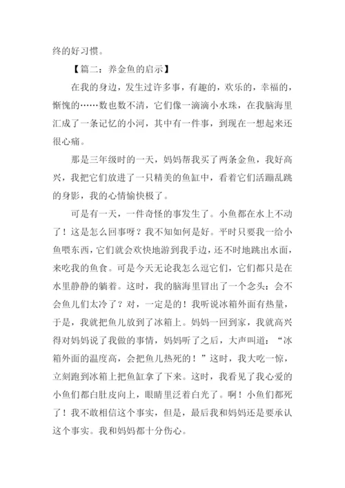 养金鱼的启示作文.docx