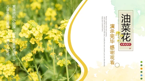 春天乡村旅游油菜花风景油菜花田PPT模板