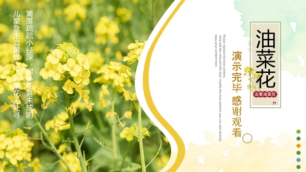 春天乡村旅游油菜花风景油菜花田PPT模板