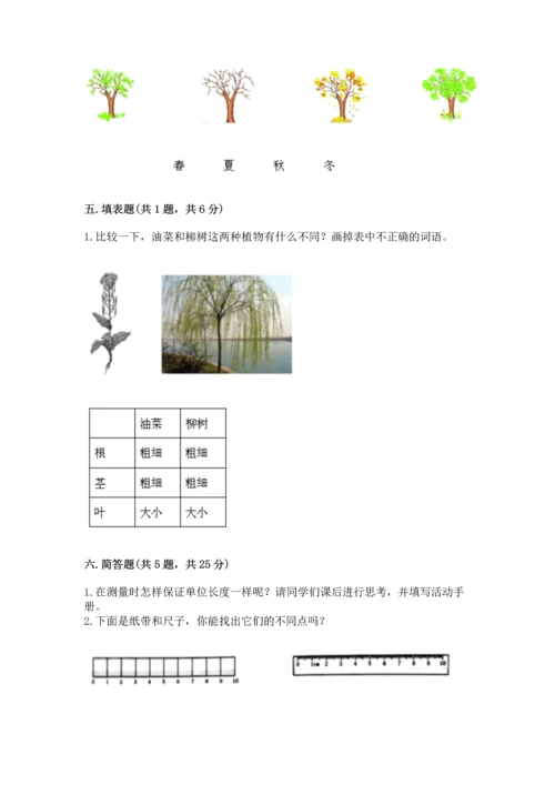 教科版科学一年级上册期末测试卷【历年真题】.docx