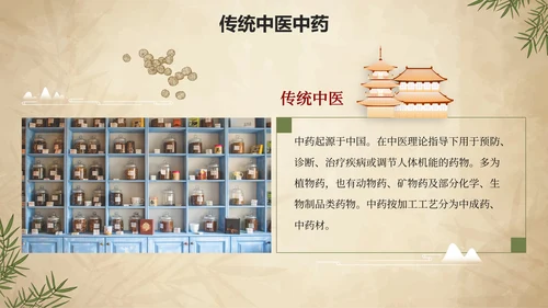 简约手绘中国风中医中药传统养护理普PPT模板
