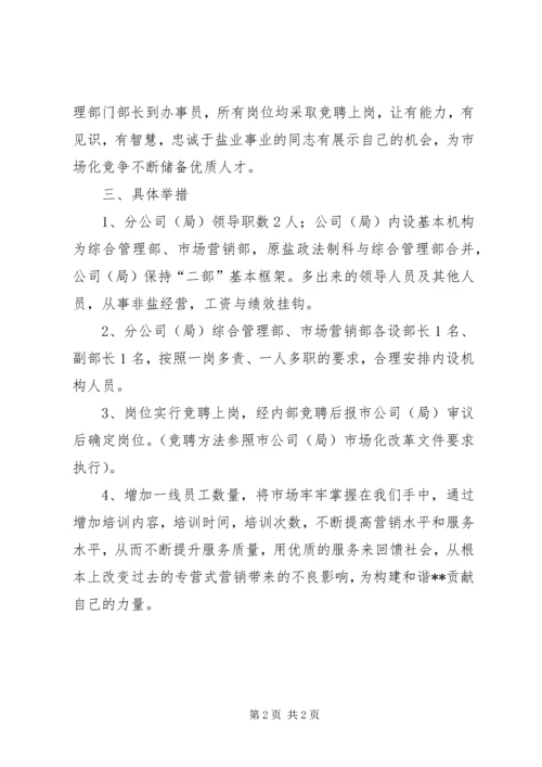 盐务管理局市场化改革工作计划.docx