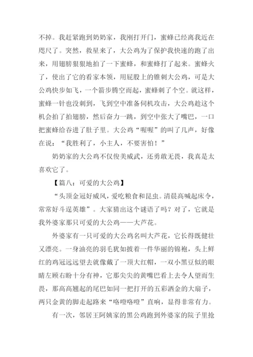 大公鸡作文400字.docx