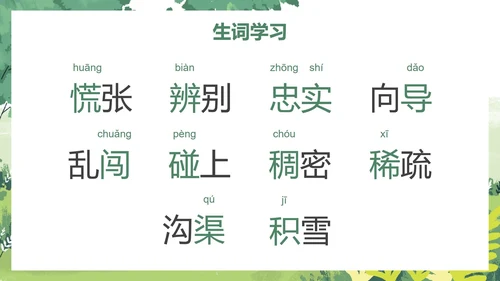部编版二年级下册《要是你在野外迷了路》