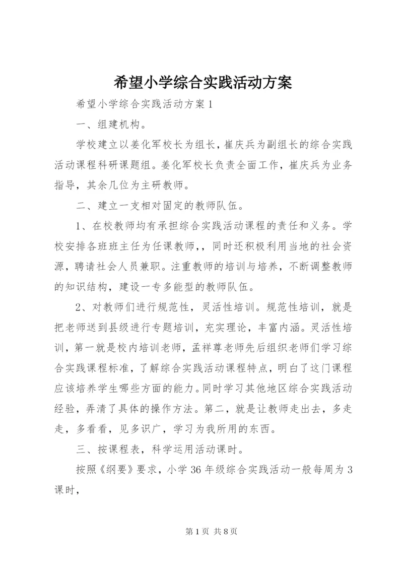 希望小学综合实践活动方案.docx